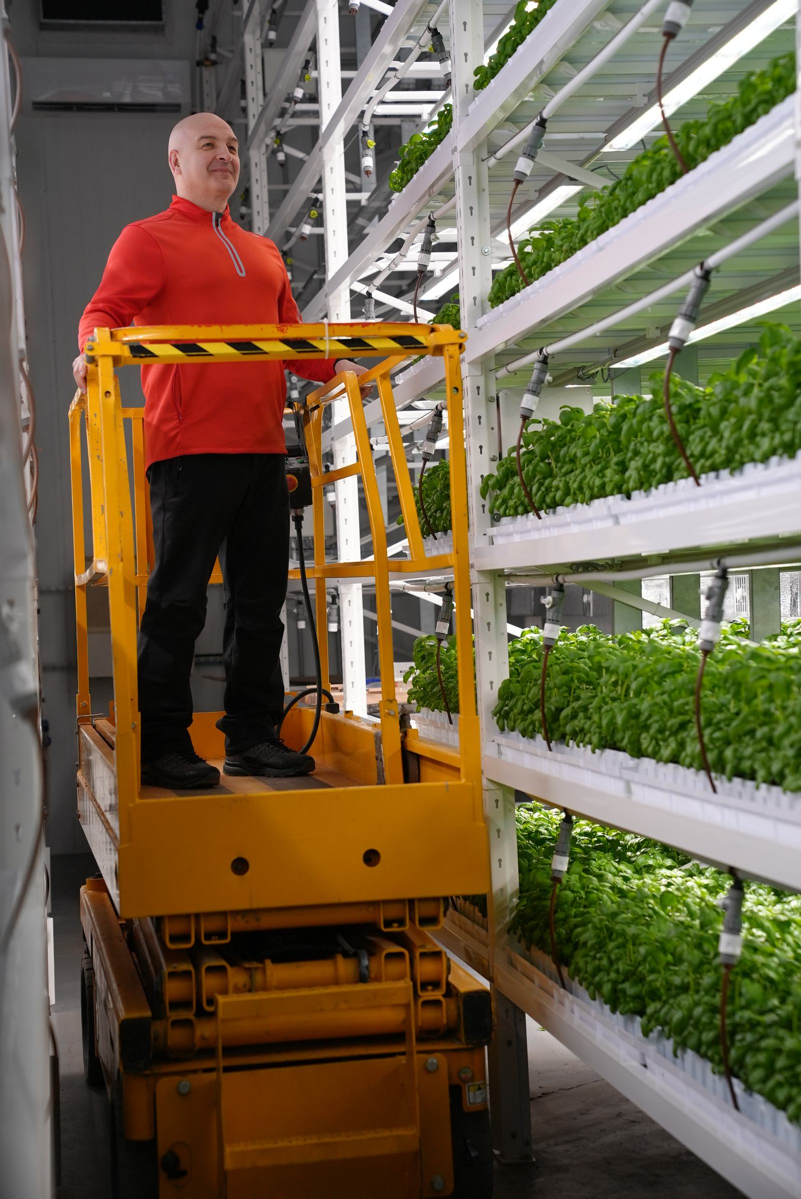 Співробітник Green Farms у модулі росту